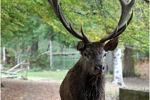 Boutissaint D500 17-10-09 0509   Photos ACG 2017