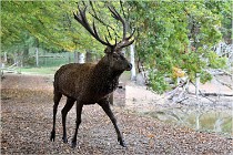 Boutissaint D500 17-10-09 0510   Photos ACG 2017