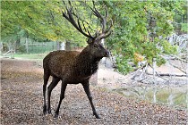 Boutissaint D500 17-10-09 0511   Photos ACG 2017