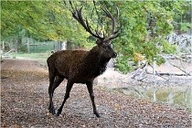 Boutissaint D500 17-10-09 0512   Photos ACG 2017