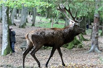 Boutissaint D500 17-10-09 0513   Photos ACG 2017