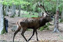 Boutissaint D500 17-10-09 0514   Photos ACG 2017