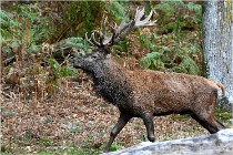 Boutissaint D500 17-10-10 0524   Photos ACG 2017