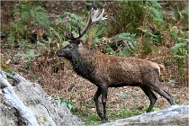 Boutissaint D500 17-10-10 0528   Photos ACG 2017