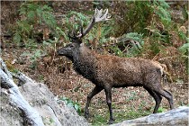 Boutissaint D500 17-10-10 0529   Photos ACG 2017