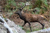 Boutissaint D500 17-10-10 0530   Photos ACG 2017