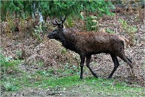 Boutissaint D500 17-10-10 0539   Photos ACG 2017