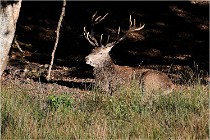 Boutissaint D500 17-10-11 0560   Photos ACG 2017