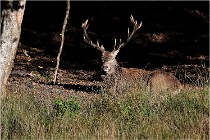 Boutissaint D500 17-10-11 0563   Photos ACG 2017