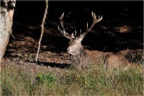 Boutissaint D500 17-10-11 0565   Photos ACG 2017