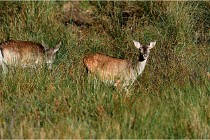 Boutissaint D500 17-10-11 0569   Photos ACG 2017