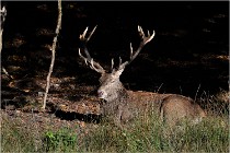 Boutissaint D500 17-10-11 0572   Photos ACG 2017