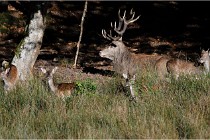 Boutissaint D500 17-10-11 0575   Photos ACG 2017