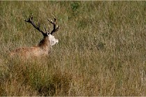 Boutissaint D500 17-10-11 0581   Photos ACG 2017