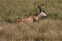 Boutissaint D500 17-10-11 0591   Photos ACG 2017