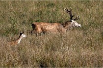 Boutissaint D500 17-10-11 0593   Photos ACG 2017