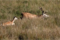 Boutissaint D500 17-10-11 0594   Photos ACG 2017