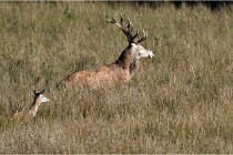 Boutissaint D500 17-10-11 0596   Photos ACG 2017