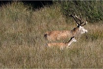 Boutissaint D500 17-10-11 0603   Photos ACG 2017