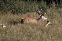 Boutissaint D500 17-10-11 0608   Photos ACG 2017