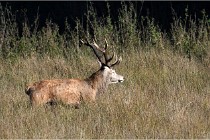 Boutissaint D500 17-10-11 0613   Photos ACG 2017