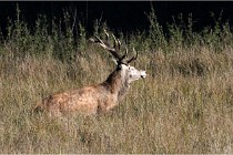 Boutissaint D500 17-10-11 0625   Photos ACG 2017