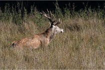 Boutissaint D500 17-10-11 0626   Photos ACG 2017