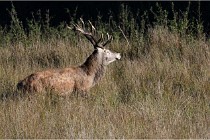 Boutissaint D500 17-10-11 0631   Photos ACG 2017