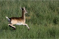 Boutissaint D500 17-10-11 0653   Photos ACG 2017