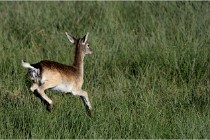 Boutissaint D500 17-10-11 0658   Photos ACG 2017