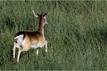 Boutissaint D500 17-10-11 0667   Photos ACG 2017