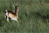 Boutissaint D500 17-10-11 0668   Photos ACG 2017