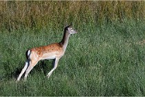 Boutissaint D500 17-10-11 0692   Photos ACG 2017