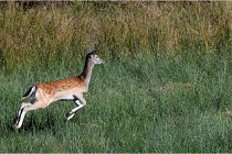 Boutissaint D500 17-10-11 0693   Photos ACG 2017