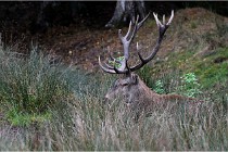 Boutissaint D500 17-10-12 0704   Photos ACG 2017