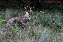 Boutissaint D500 17-10-12 0706   Photos ACG 2017