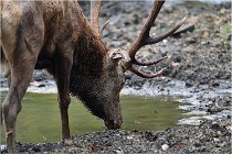 Boutissaint D5 17-10-09 0731   Photos ACG 2017