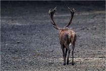 Boutissaint D5 17-10-09 0735   Photos ACG 2017