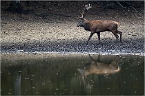 Boutissaint D5 17-10-09 0742   Photos ACG 2017