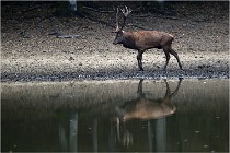 Boutissaint D5 17-10-09 0750   Photos ACG 2017