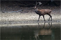 Boutissaint D5 17-10-09 0760   Photos ACG 2017