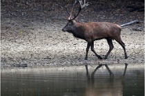 Boutissaint D5 17-10-09 0764   Photos ACG 2017