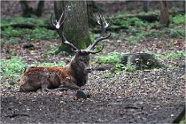 Boutissaint D5 17-10-09 0788   Photos ACG 2017