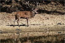 Boutissaint D5 17-10-09 0795   Photos ACG 2017