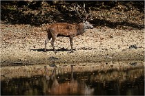 Boutissaint D5 17-10-09 0804   Photos ACG 2017