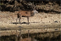 Boutissaint D5 17-10-09 0805   Photos ACG 2017