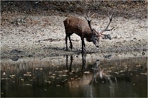 Boutissaint D5 17-10-09 0809   Photos ACG 2017