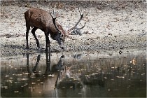 Boutissaint D5 17-10-09 0811   Photos ACG 2017