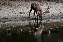 Boutissaint D5 17-10-09 0812   Photos ACG 2017