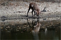 Boutissaint D5 17-10-09 0814   Photos ACG 2017